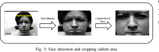 Figure 3 for Using Deep Autoencoders for Facial Expression Recognition