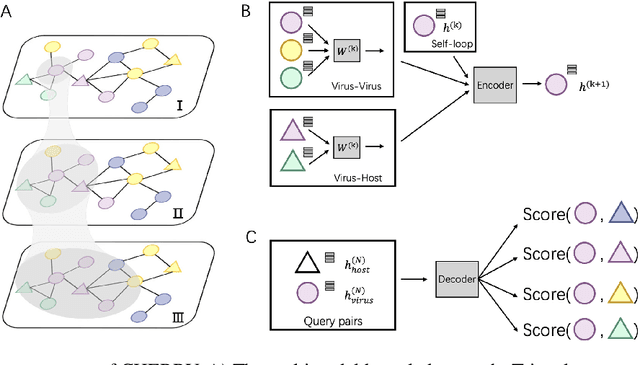 Figure 1 for CHERRY: a Computational metHod for accuratE pRediction of virus-pRokarYotic interactions using a graph encoder-decoder model