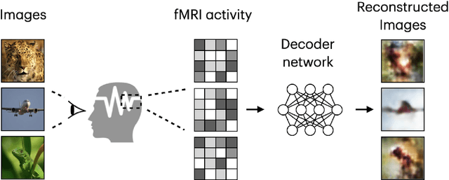 Figure 1 for Natural Image Reconstruction from fMRI using Deep Learning: A Survey