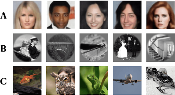 Figure 3 for Natural Image Reconstruction from fMRI using Deep Learning: A Survey