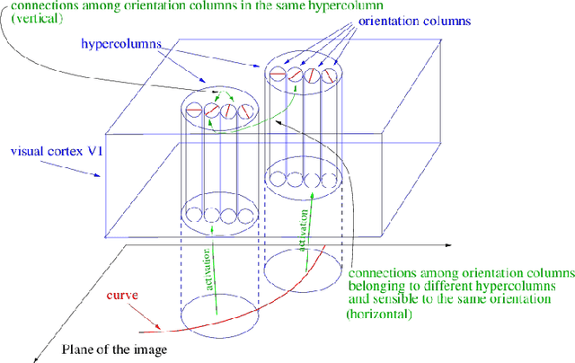 Figure 3 for A semidiscrete version of the Citti-Petitot-Sarti model as a plausible model for anthropomorphic image reconstruction and pattern recognition