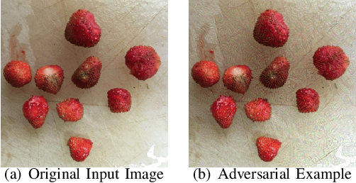 Figure 1 for Robustness of on-device Models: Adversarial Attack to Deep Learning Models on Android Apps