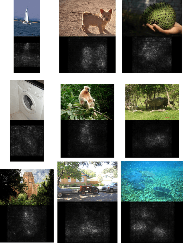 Figure 2 for Deep Inside Convolutional Networks: Visualising Image Classification Models and Saliency Maps