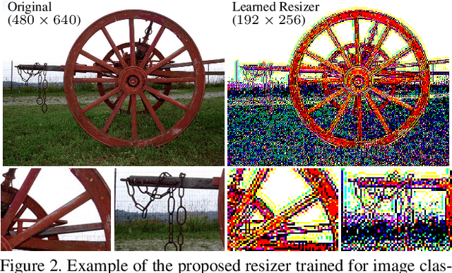 Figure 3 for Learning to Resize Images for Computer Vision Tasks