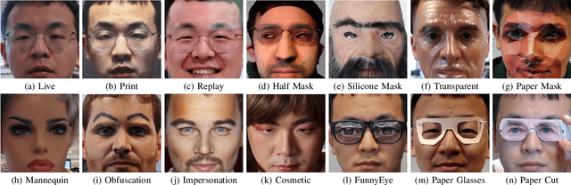 Figure 1 for Look Locally Infer Globally: A Generalizable Face Anti-Spoofing Approach