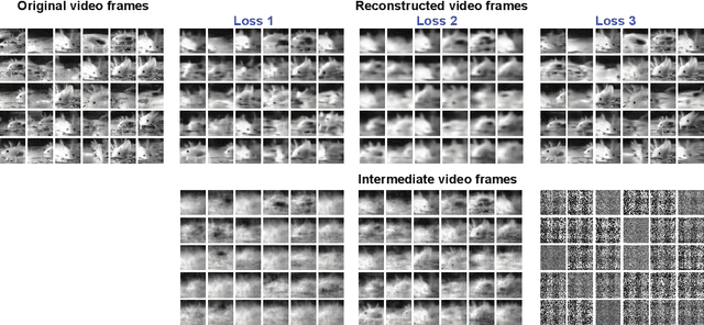 Figure 3 for Reconstruction of Natural Visual Scenes from Neural Spikes with Deep Neural Networks