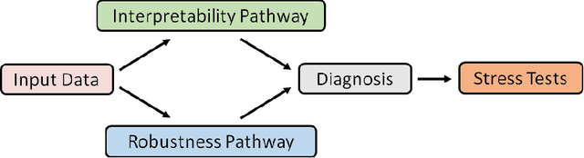 Figure 1 for RobIn: A Robust Interpretable Deep Network for Schizophrenia Diagnosis