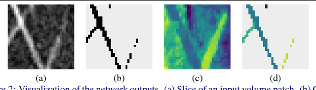 Figure 3 for Instance Segmentation of Fibers from Low Resolution CT Scans via 3D Deep Embedding Learning