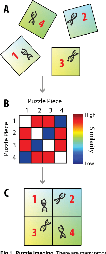 Figure 1 for Puzzle Imaging: Using Large-scale Dimensionality Reduction Algorithms for Localization