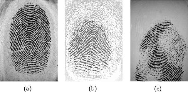Figure 3 for Global Variational Method for Fingerprint Segmentation by Three-part Decomposition