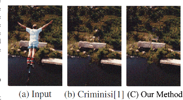 Figure 1 for Patch-based Texture Synthesis for Image Inpainting