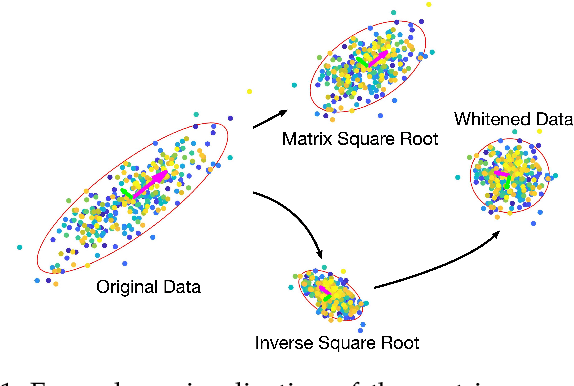 Figure 1 for Fast Differentiable Matrix Square Root and Inverse Square Root