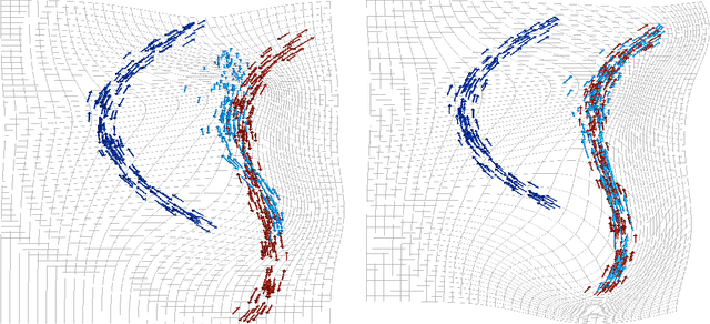 Figure 1 for The varifold representation of non-oriented shapes for diffeomorphic registration