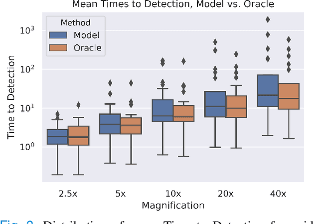 Figure 3 for Deep Learning-Based Sparse Whole-Slide Image Analysis for the Diagnosis of Gastric Intestinal Metaplasia