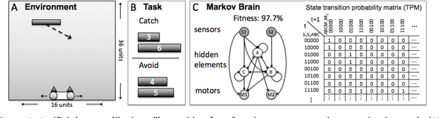 Figure 1 for A macro agent and its actions