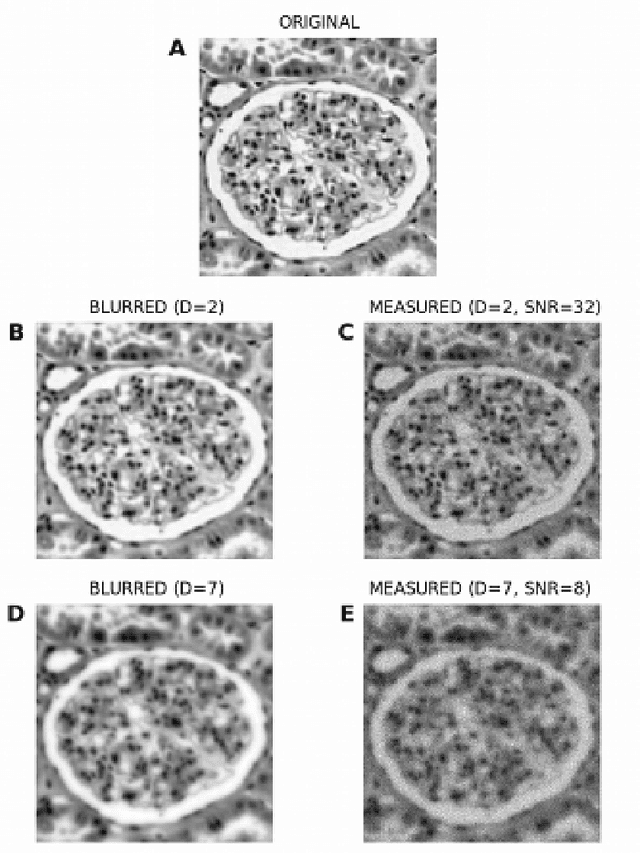 Figure 4 for Iterative Shrinkage Approach to Restoration of Optical Imagery