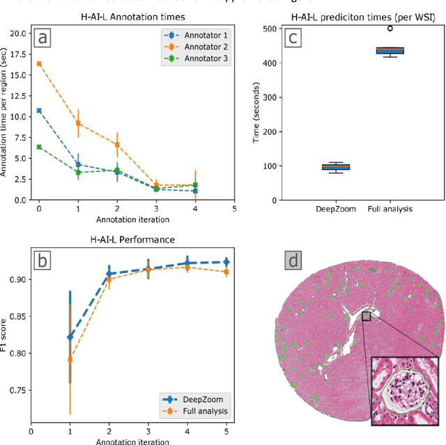 Figure 3 for Iterative annotation to ease neural network training: Specialized machine learning in medical image analysis