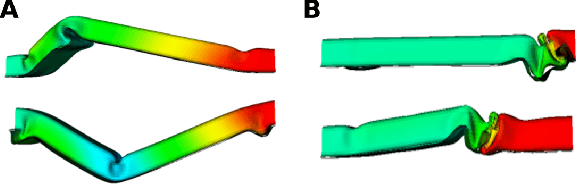 Figure 1 for A Compact Spectral Descriptor for Shape Deformations