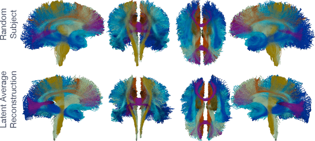 Figure 4 for StreamNet: A WAE for White Matter Streamline Analysis