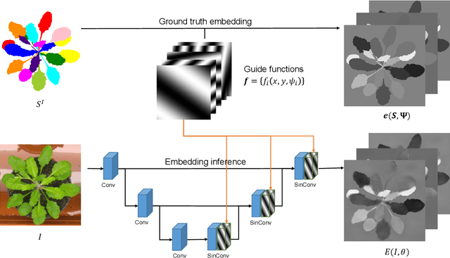 Figure 1 for Instance Segmentation of Biological Images Using Harmonic Embeddings