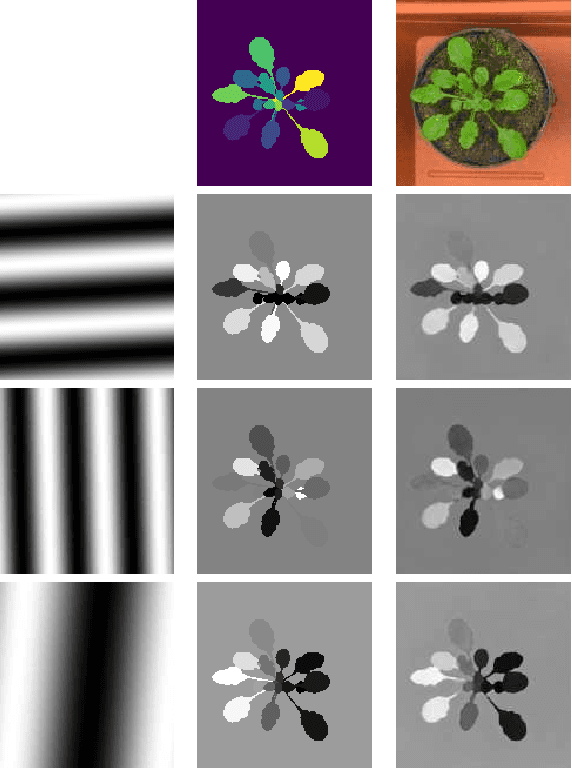 Figure 3 for Instance Segmentation of Biological Images Using Harmonic Embeddings