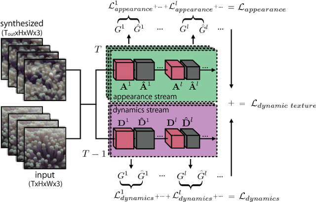 Figure 2 for Two-Stream Convolutional Networks for Dynamic Texture Synthesis