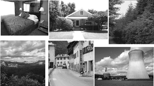 Figure 1 for Learning ordered pooling weights in image classification