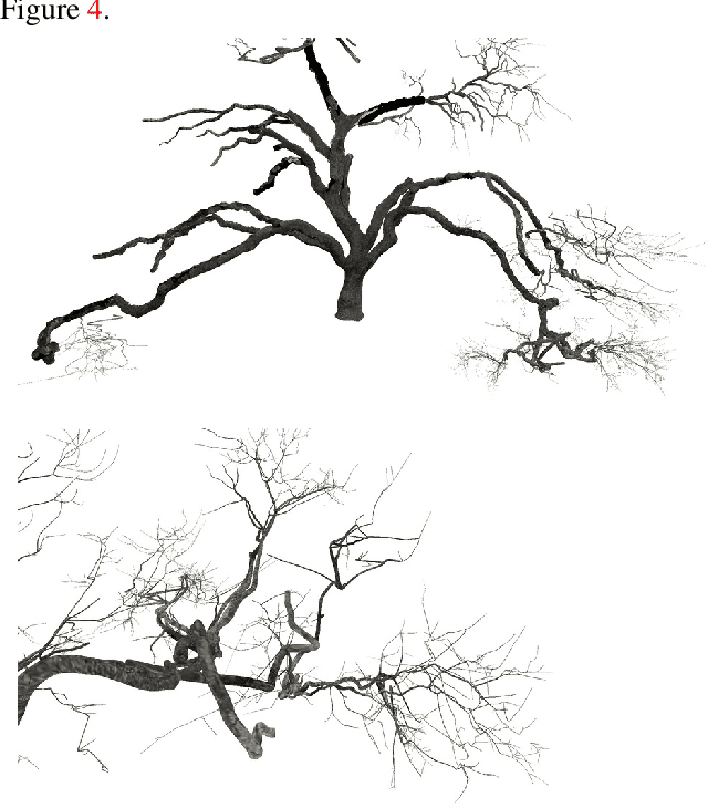 Figure 4 for Three Dimensional Reconstruction of Botanical Trees with Simulatable Geometry