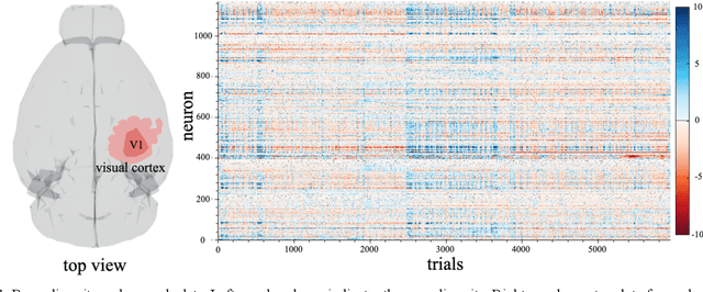 Figure 1 for Decoding Neural Responses in Mouse Visual Cortex through a Deep Neural Network