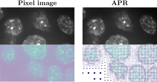 Figure 1 for Parallel Discrete Convolutions on Adaptive Particle Representations of Images