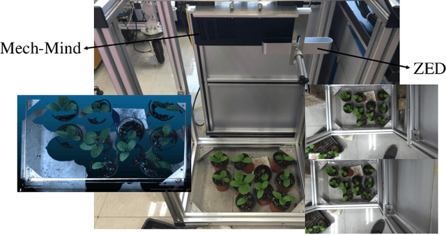 Figure 3 for PlantStereo: A Stereo Matching Benchmark for Plant Surface Dense Reconstruction