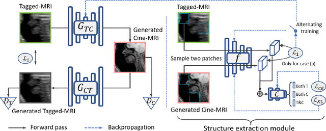 Figure 1 for Structure-aware Unsupervised Tagged-to-Cine MRI Synthesis with Self Disentanglement
