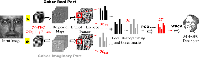 Figure 1 for Multi-Fold Gabor, PCA and ICA Filter Convolution Descriptor for Face Recognition