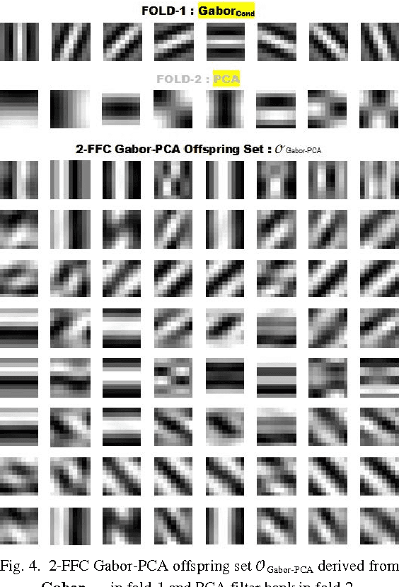 Figure 3 for Multi-Fold Gabor, PCA and ICA Filter Convolution Descriptor for Face Recognition