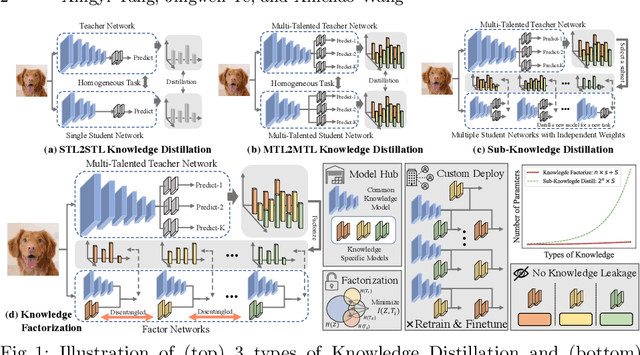 Figure 1 for Factorizing Knowledge in Neural Networks