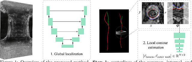 Figure 1 for Deep Learning-Based Carotid Artery Vessel Wall Segmentation in Black-Blood MRI Using Anatomical Priors
