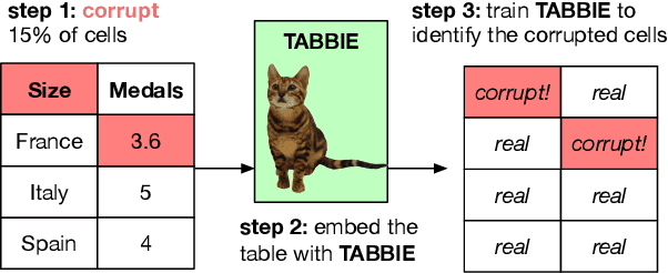 Figure 1 for TABBIE: Pretrained Representations of Tabular Data