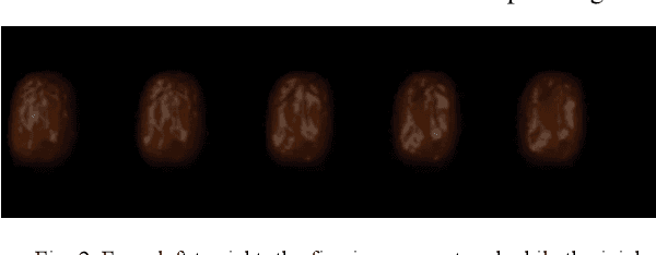 Figure 3 for Multi-vision Attention Networks for On-line Red Jujube Grading