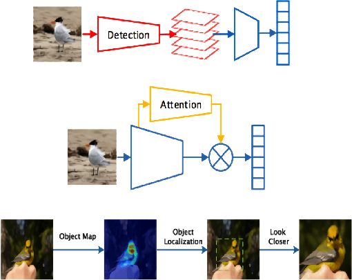 Figure 1 for Exploring Vision Transformers for Fine-grained Classification
