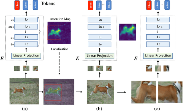 Figure 3 for Exploring Vision Transformers for Fine-grained Classification