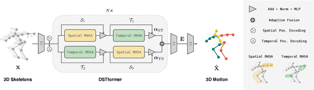 Figure 3 for MotionBERT: Unified Pretraining for Human Motion Analysis