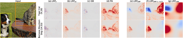 Figure 1 for Towards best practice in explaining neural network decisions with LRP