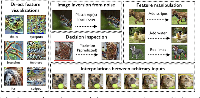 Figure 1 for Learning Perceptually-Aligned Representations via Adversarial Robustness