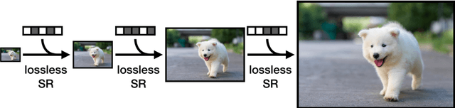 Figure 1 for Lossless Image Compression through Super-Resolution