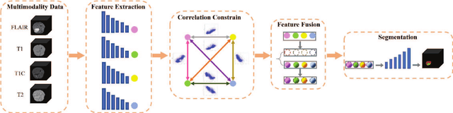 Figure 2 for 3D Medical Multi-modal Segmentation Network Guided by Multi-source Correlation Constraint