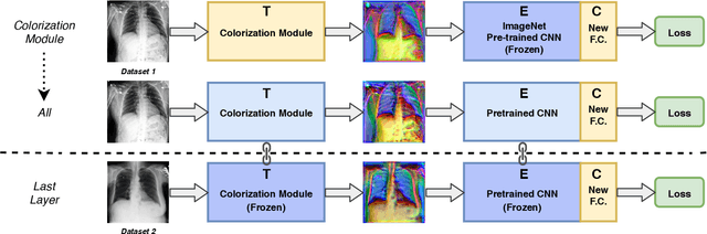 Figure 1 for Bridging the gap between Natural and Medical Images through Deep Colorization