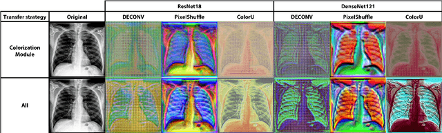 Figure 4 for Bridging the gap between Natural and Medical Images through Deep Colorization