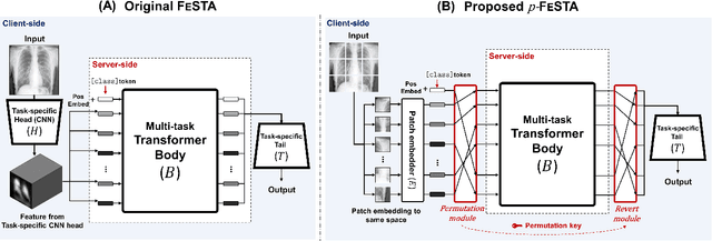 Figure 1 for Multi-Task Distributed Learning using Vision Transformer with Random Patch Permutation