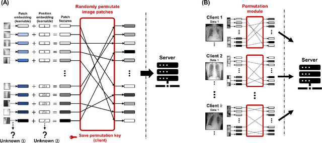 Figure 4 for Multi-Task Distributed Learning using Vision Transformer with Random Patch Permutation