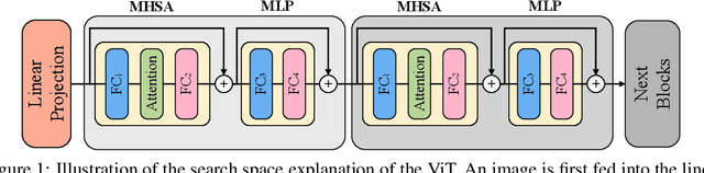 Figure 1 for Vision Transformer Architecture Search